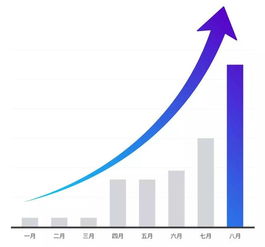 東莞逸飛 上線8個月銷售趨勢快速攀升，產品暢銷美國35個州的數據分析